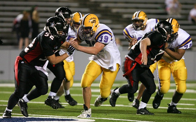 在他的描述 在他的描述