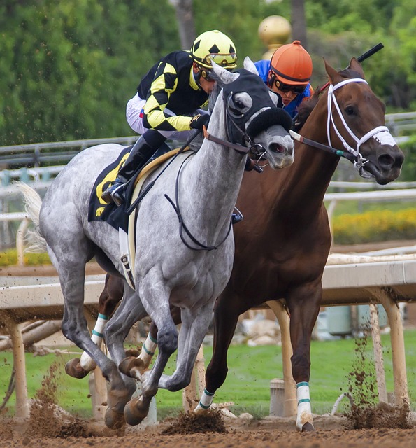 比赛回顾 比赛回顾