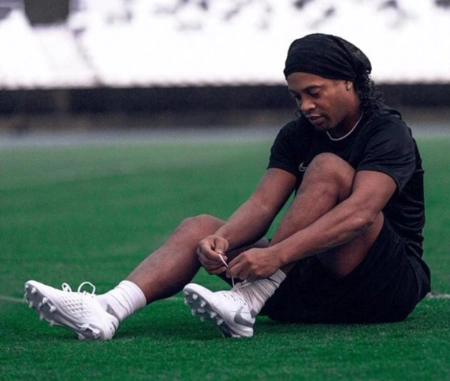 晰地展示了 晰地展示了