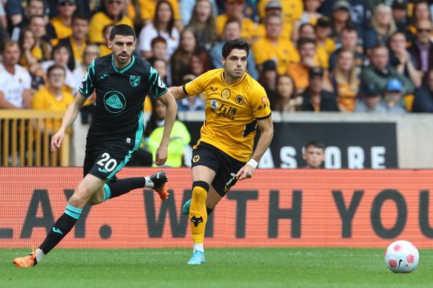 高层与教练 高层与教练